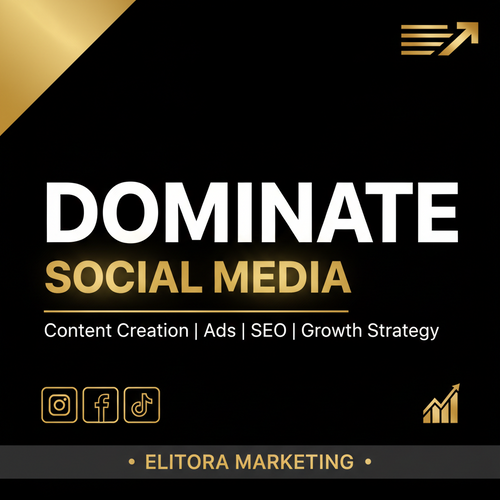 Meta Ads Management